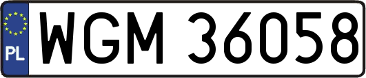 WGM36058