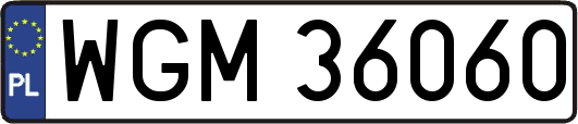 WGM36060