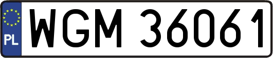 WGM36061