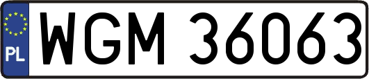 WGM36063