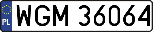 WGM36064