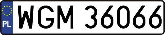 WGM36066