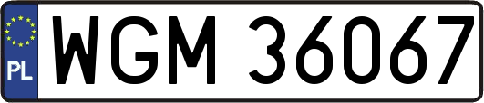 WGM36067