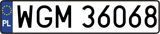 WGM36068