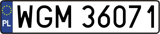 WGM36071