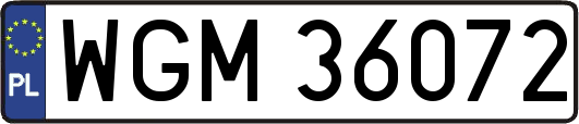 WGM36072