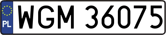 WGM36075