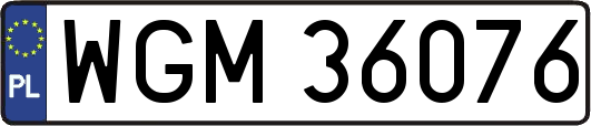 WGM36076