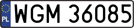 WGM36085