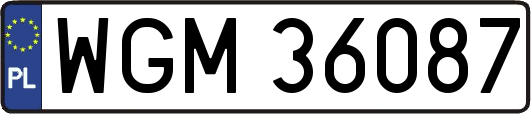 WGM36087