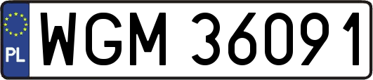 WGM36091