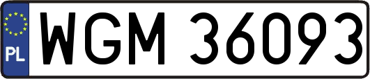 WGM36093