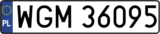 WGM36095