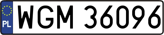 WGM36096
