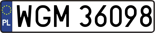 WGM36098
