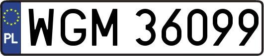 WGM36099