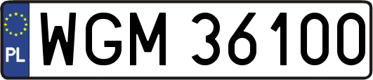 WGM36100