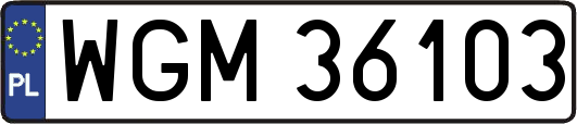 WGM36103