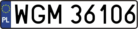 WGM36106