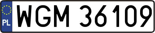 WGM36109