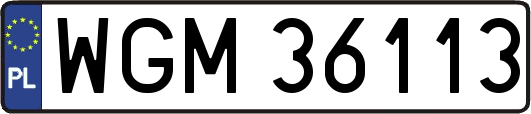 WGM36113