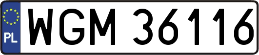 WGM36116