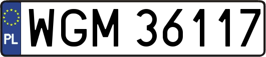 WGM36117