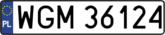 WGM36124