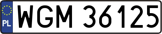 WGM36125