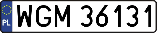 WGM36131