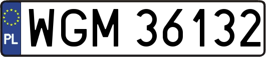 WGM36132