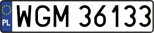 WGM36133