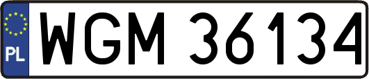 WGM36134