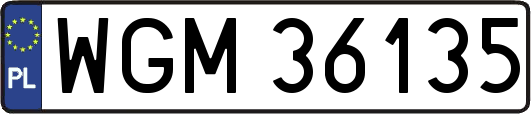 WGM36135