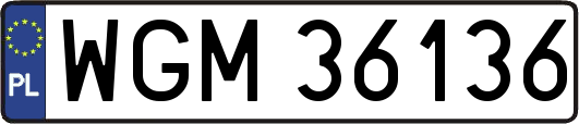 WGM36136