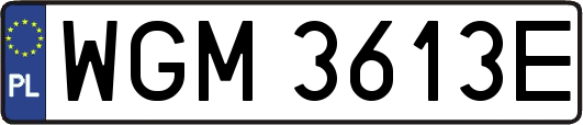 WGM3613E
