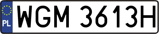 WGM3613H