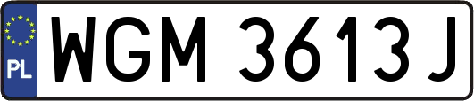 WGM3613J