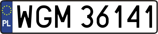 WGM36141