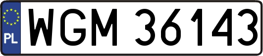 WGM36143