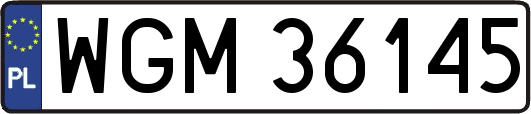 WGM36145