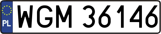 WGM36146