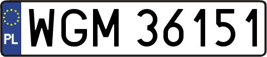 WGM36151