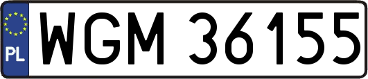 WGM36155