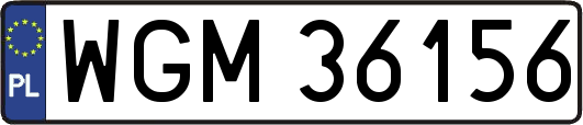 WGM36156