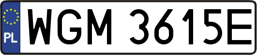 WGM3615E