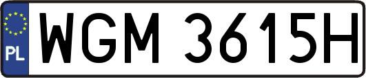 WGM3615H