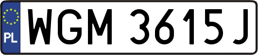 WGM3615J