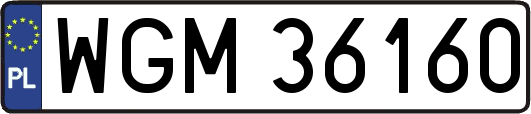 WGM36160