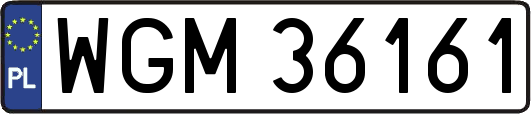 WGM36161